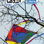 بی تابی آرزوها
