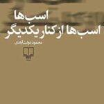 اسب ها اسب ها کنار یکدیگر