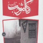 کاشوب