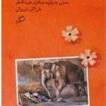 بمبئی رقص الوان است