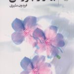 بهار را باور کن