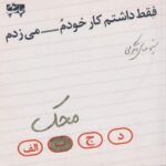 کتاب فقط داشتم کار خودم....می زدم