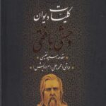 کتاب کلیات دیوان وحشی بافقی