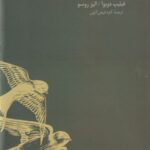 فلسفه پرندگان