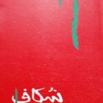 شکاف