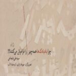 کتاب چرا بادبادک ها همه چیز را فراموش می کنند؟!