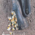 کتاب ازدحام بوسه