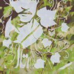 کتاب سایه تاک