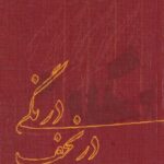 کتاب درنگی در نجف