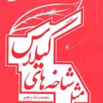 مثل شاخه گیلاس
