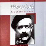 یک چاه و دو چاله