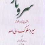 سرو ناز
