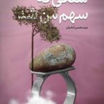 سنگی که سهم من شد