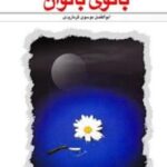 بانوی بانوان