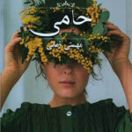 حامی