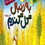 به دنبال گل گندم