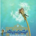 فرشته ای که بال نداشت