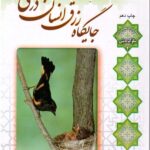 جایگاه رزق انسان در هستی