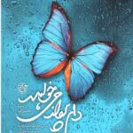 دلم پرواز می خواهد