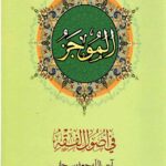 الموجز فی اصول الفقه (جلد 2)