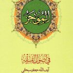 الموجز فی اصول الفقه (جلد 1)