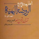 الطلیعة فی شرح الروضهة البهیه : شرحی بر شرح لمعه (قصاص و دیات)
