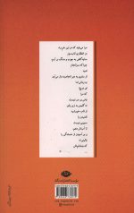 آیدا در آینه
