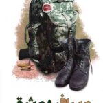 مسافر عشق