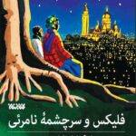 فلیکس و سرچشمه نامرئی