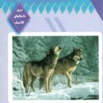 آوای وحش
