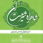 شاهراه شریعت آن (جلد اول)