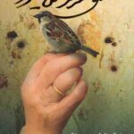 عشق هرگز نمی میرد