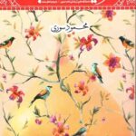 زینت دوش نبی
