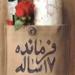 فرمانده 17 ساله