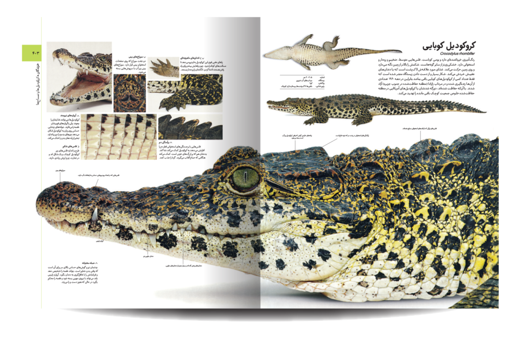 دایره المعارف مصور آفرینش