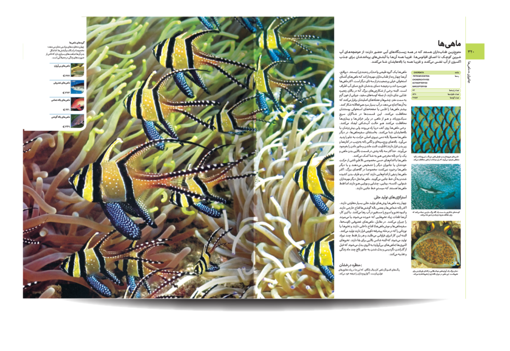 دایره المعارف مصور آفرینش