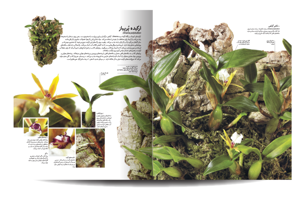 دایره المعارف مصور آفرینش