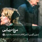 مرغ دریایی÷