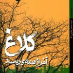 کلاغ آخر از همه می رسد