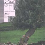 بی پدر