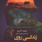 زندگی روی سیاره ما