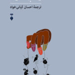 قدرت بی قدرتان