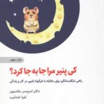 کی پنیر مرا جا به جا کرد؟