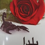 یلدا