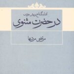 اندک گستاخ و بیش مودب در حضرت مثنوی