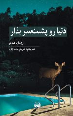 خرید کتاب دنیا رو پشت سر بذار نویسنده رومان علام