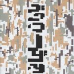 یاران سلیمانی