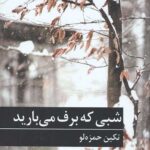 شبی که برف می بارید