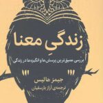 زندگی معنا (بررسی عمیق ترین پرسش ها و انگیزه ها در زندگی)