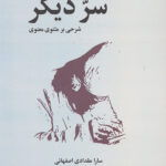 سر دیگر (شرحی بر مثنوی معنوی)